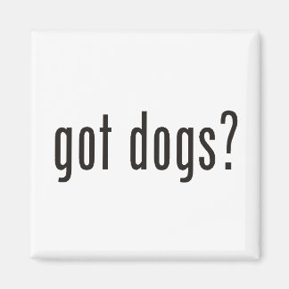 Imã tem cachorros?