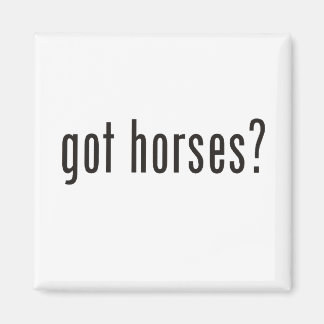 Imã tem cavalos?