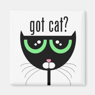 Imã tem gato? -Íman