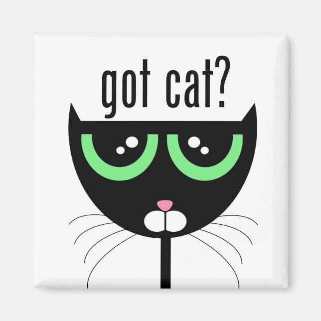 Imã tem gato? -Íman (Frente)
