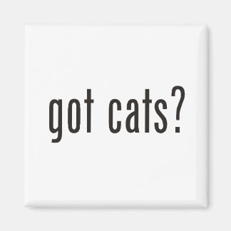 Imã tem gatos?