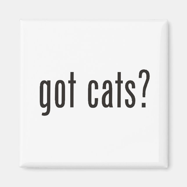 Imã tem gatos? (Frente)