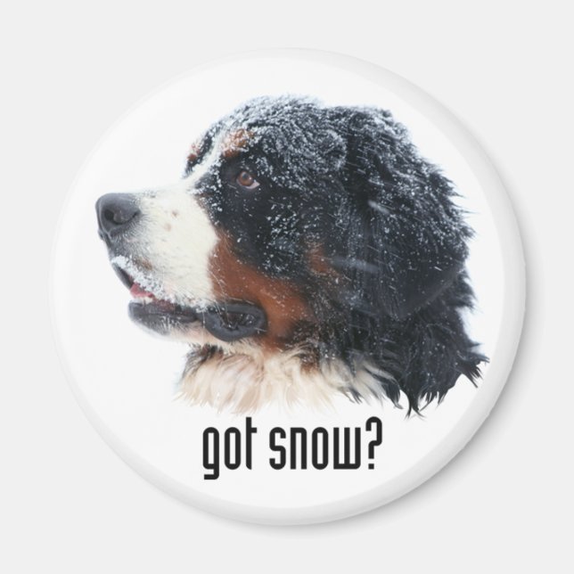 Imã tem neve? Bernese Magnet (Frente)
