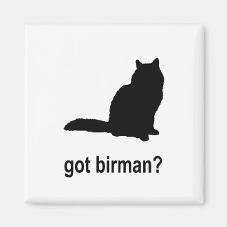 Imã Tem o Birman?