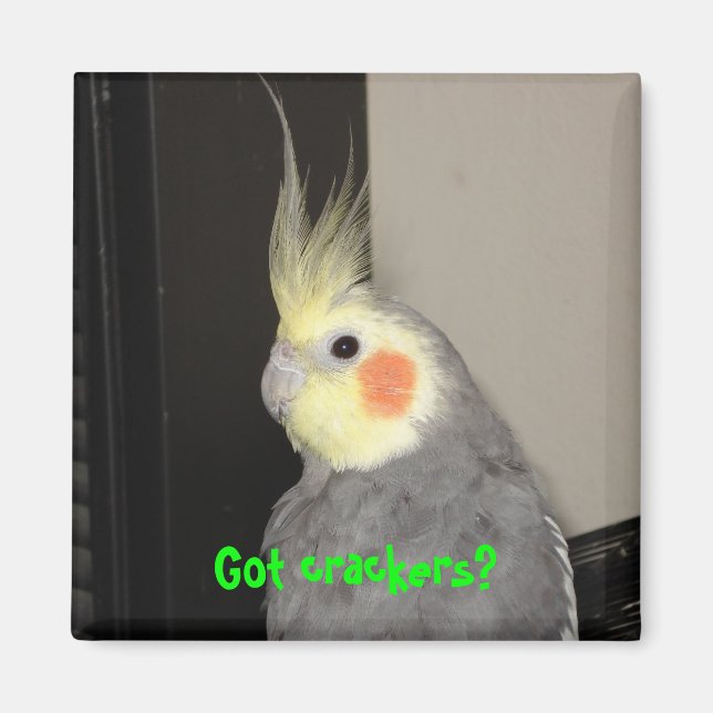 Imã Tem salgadinhos? (Frente)