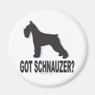 Imã Tem Schnauzer?