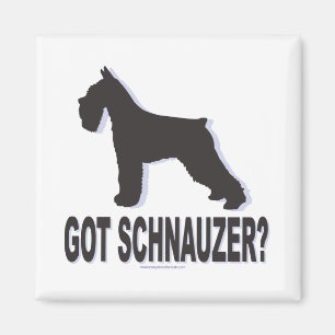 Imã Tem Schnauzer?