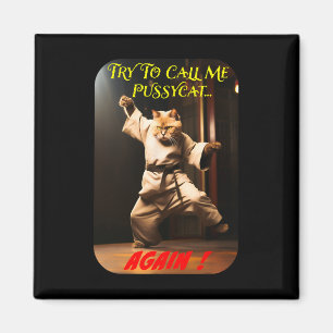 Imã Tema de Karate Humorístico
