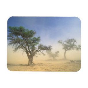 Ímã Tempestade de areia no deserto do Kalahari, Kgalag