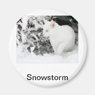 Imã Tempestade de neve