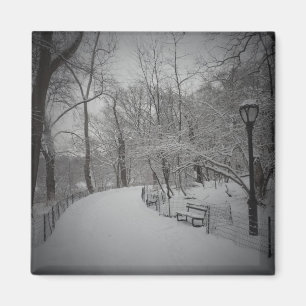 Imã Tempestade de neve, Central Park, Nova Iorque