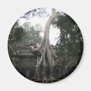 Imã Templo cambojano na selva