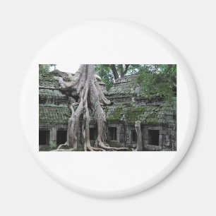 Imã templo do prohm de Ta em cambodia