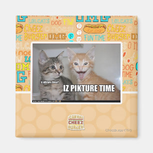 Imã tempo do pikture do iz
