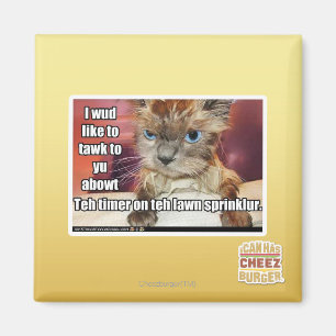 Imã Temporizador de Sprinklur do gramado