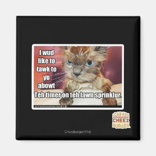 Imã Temporizador de Sprinklur do gramado