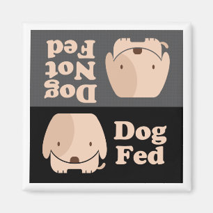 Imã Tempos da refeição de Fed do cão de Fed do cão