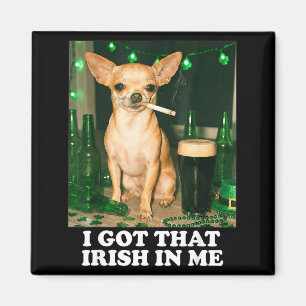 Imã Tenho esse irlandês no meu cachorro chihuahua engr
