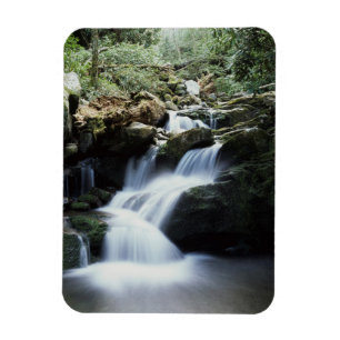 Ímã Tennessee, Parque Nacional Great Smoky Mountains 3
