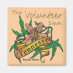 Imã Tennessee Volunteer State Passion 2