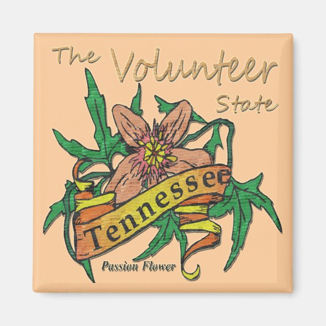 Imã Tennessee Volunteer State Passion 2 (Frente)
