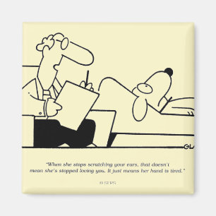 Imã Terapia do cão