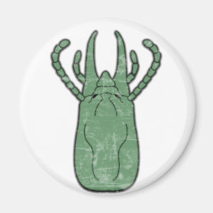 Imã Térmita do vintage