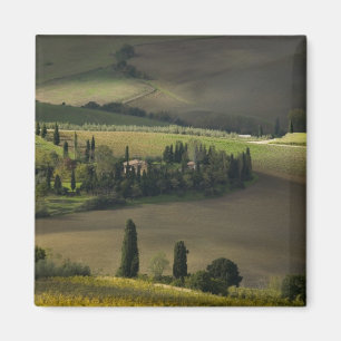 Imã Terra agrícola ao redor de Montepulciano, Toscana,