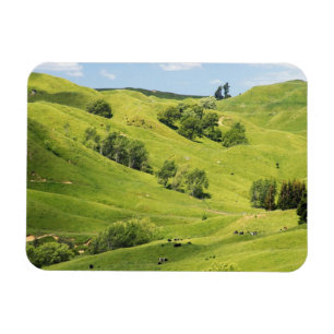 Ímã Terra agrícola perto de Gisborne, Nova Zelândia