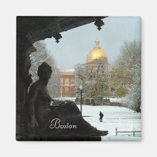 Imã Terra comum de Boston