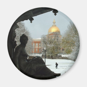 Imã Terra comum de Boston