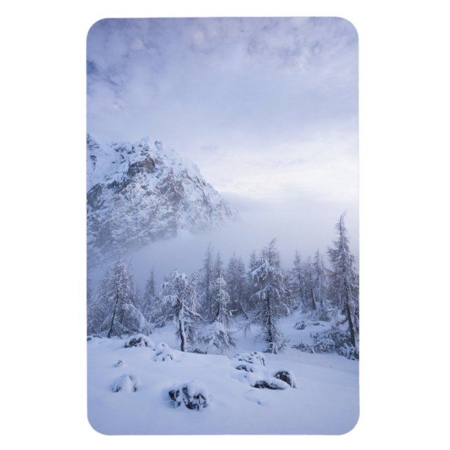 Ímã Terra maravilhosa do inverno, nevoeiro, floresta d (Vertical)