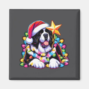 Imã Terra Natal Landseer Cão Terra Nova Enroscado Nata
