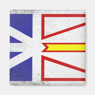 Imã Terra Nova e Labrador