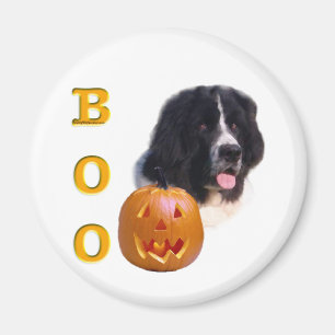 Imã Terra Nova (paisagem) Halloween Boo