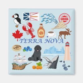 Imã Terra Nova Terra Nova