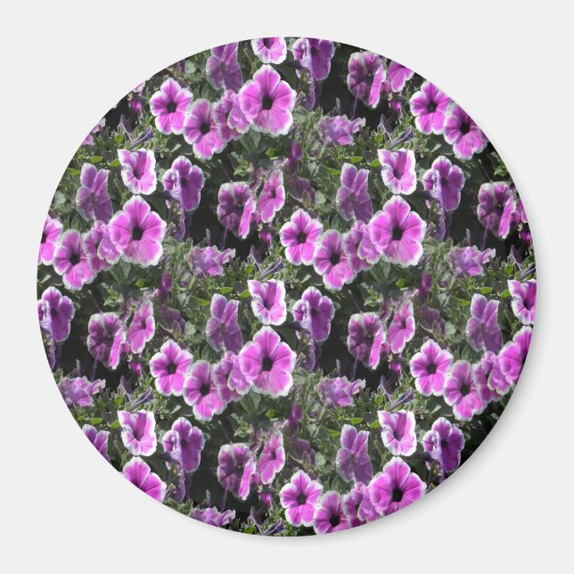 Imã Terra Petunia... (Frente)