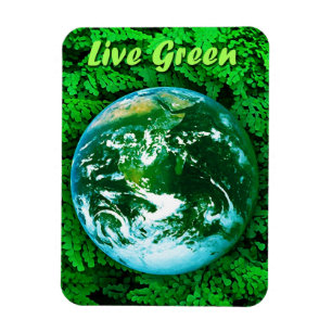 Ímã Terra verde - consciência ecológica