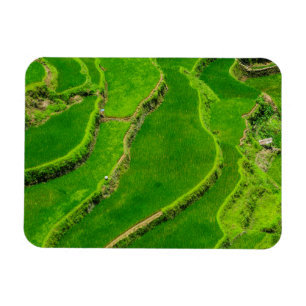 Ímã Terraços de Arroz