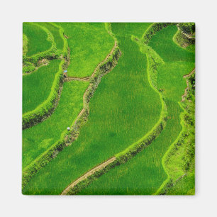 Imã Terraços de Arroz