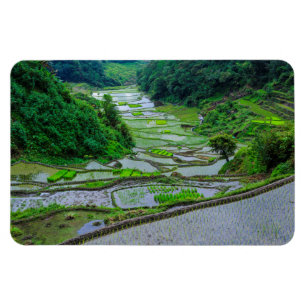 Ímã Terraços de Arroz de Banaue, Luzon