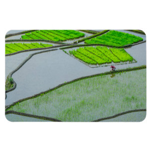 Ímã Terraços de Arroz de Luzon