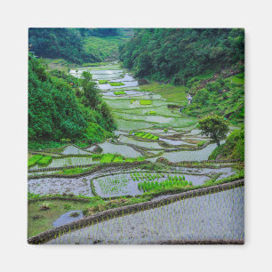 Imã Terráqueos de Arroz de Banaue, Luzon
