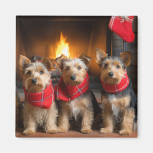 Imã Terrier Australiano junto à Lareira Natal