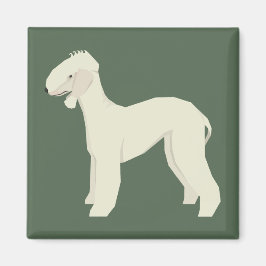 Imã Terrier Bedlington