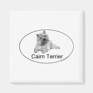Imã Terrier Cairn
