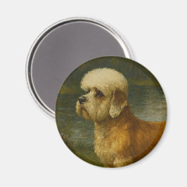 Imã Terrier Dandi Dinmont