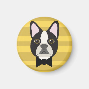 Imã Terrier de Boston