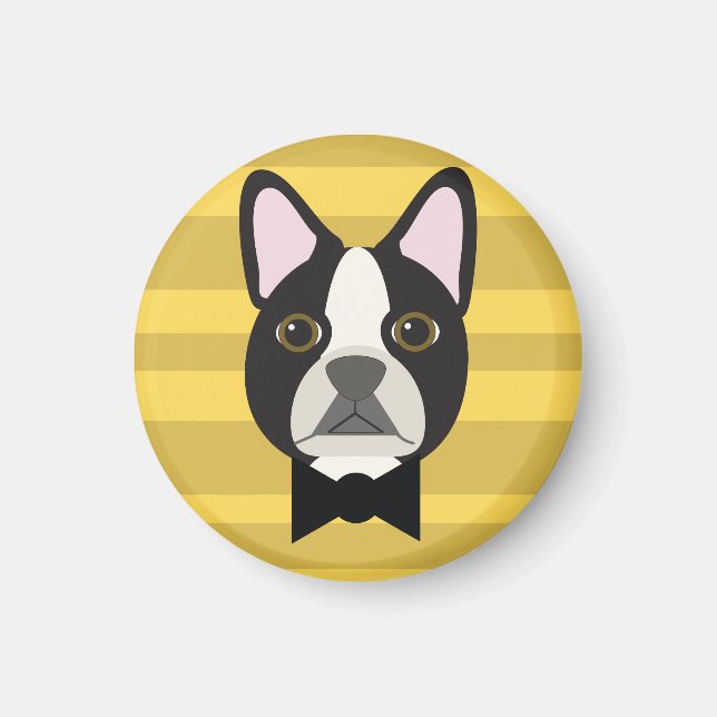 Imã Terrier de Boston (Frente)