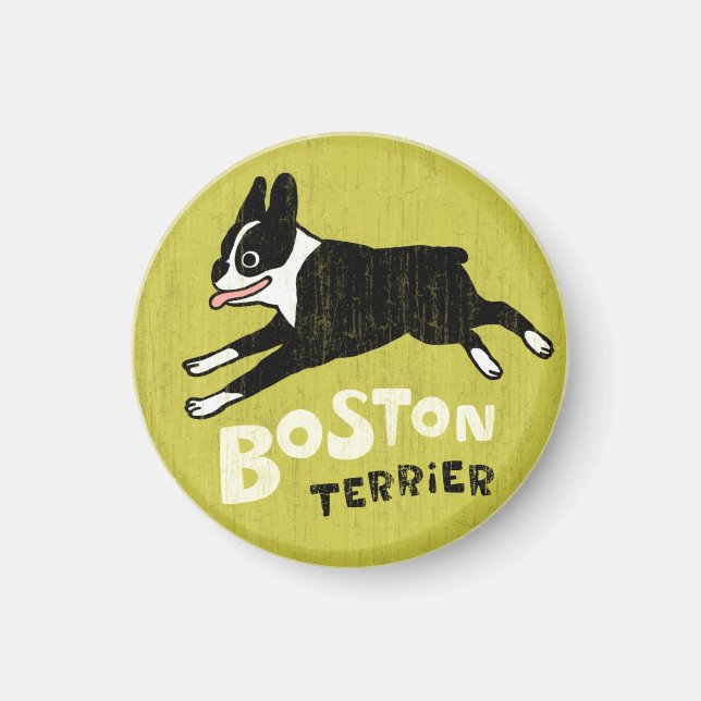 Imã Terrier de Boston (Frente)
